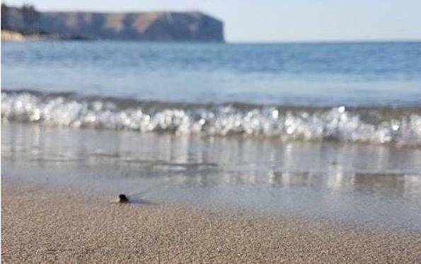Acogedor Y Precioso Atico En Javea Primera Linea Playa المظهر الخارجي الصورة